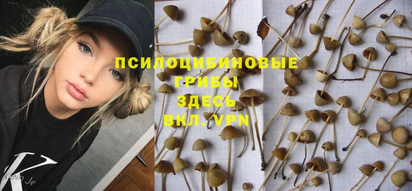 гидропоника Белокуриха