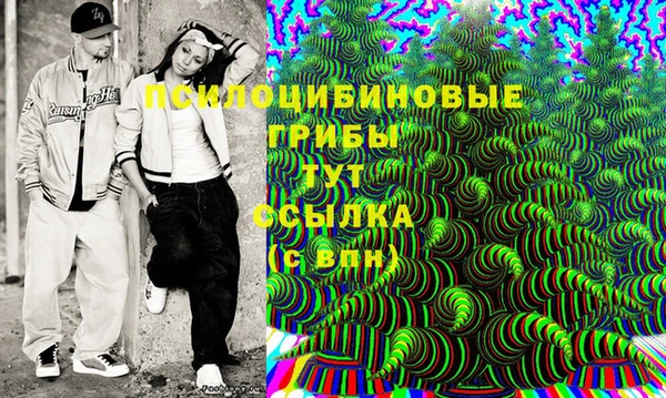 гидропоника Белокуриха