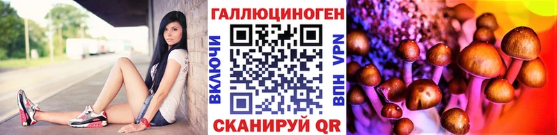 Галлюциногенные грибы Psilocybine cubensis  ссылка на мегу ТОР  Всеволожск  купить наркотик 